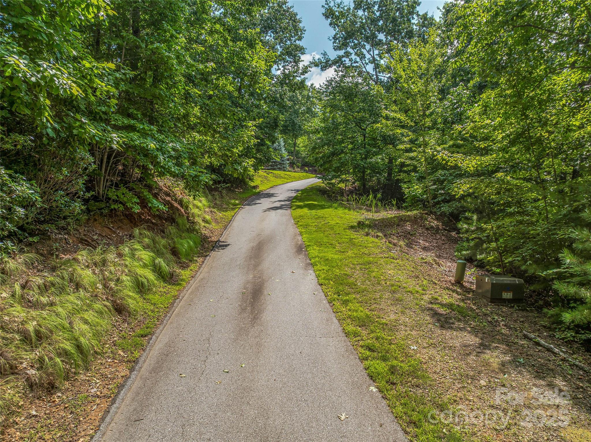 72 Smokey Ridge Trail, Unit 196 Arden, NC 28704 - Photo 27 of 34 a view of a pathway both side of yard