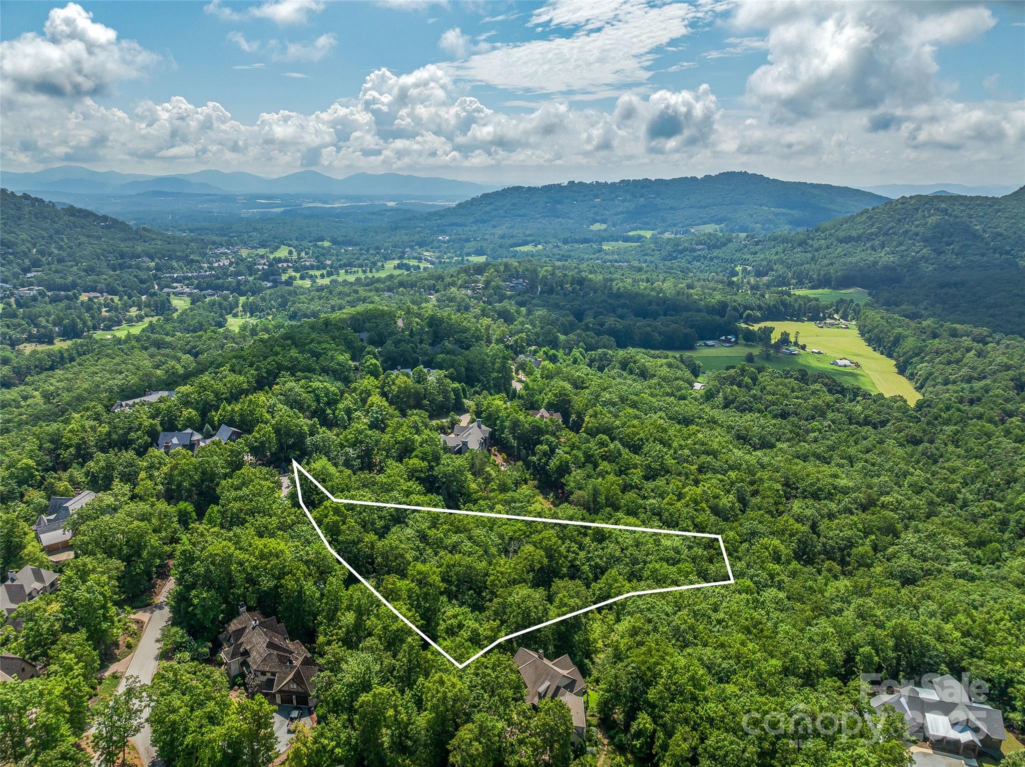 72 Smokey Ridge Trail, Unit 196 Arden, NC 28704 - Photo 29 of 34 an aerial view of a house with a yard