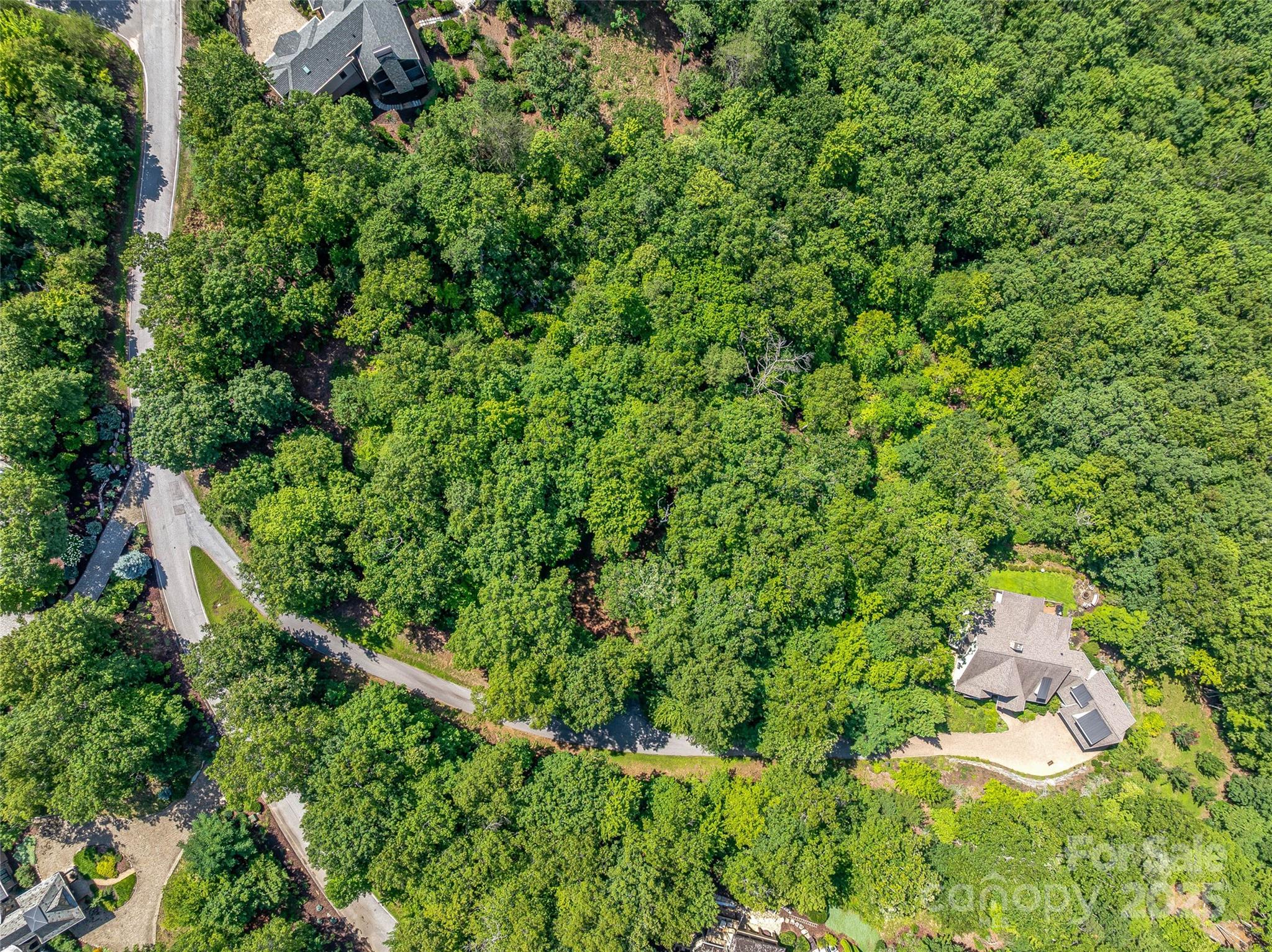 72 Smokey Ridge Trail, Unit 196 Arden, NC 28704 - Photo 32 of 34 an aerial view of a house with a yard