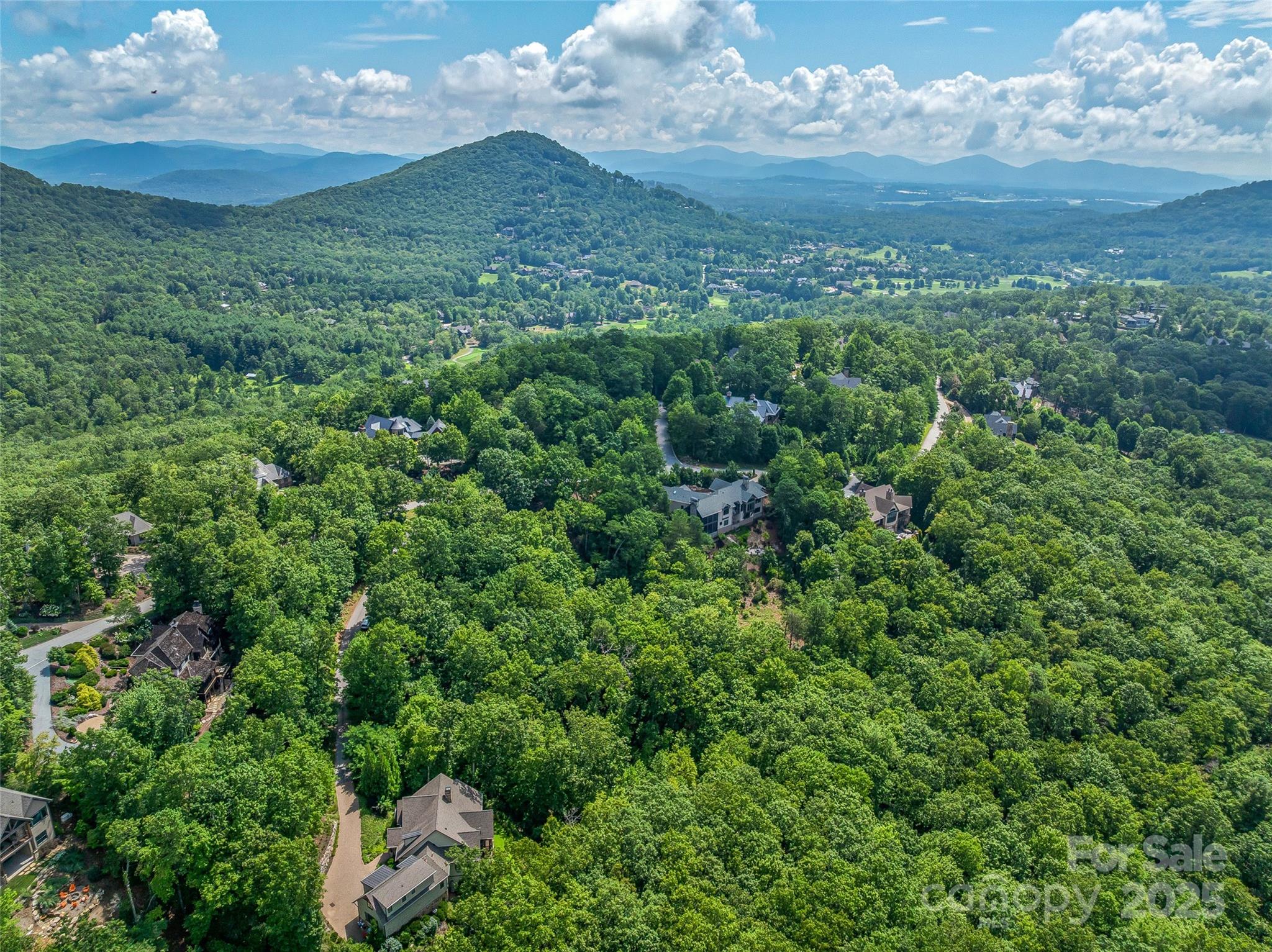 72 Smokey Ridge Trail, Unit 196 Arden, NC 28704 - Photo 6 of 34 a view of a lush green forest with lots of trees