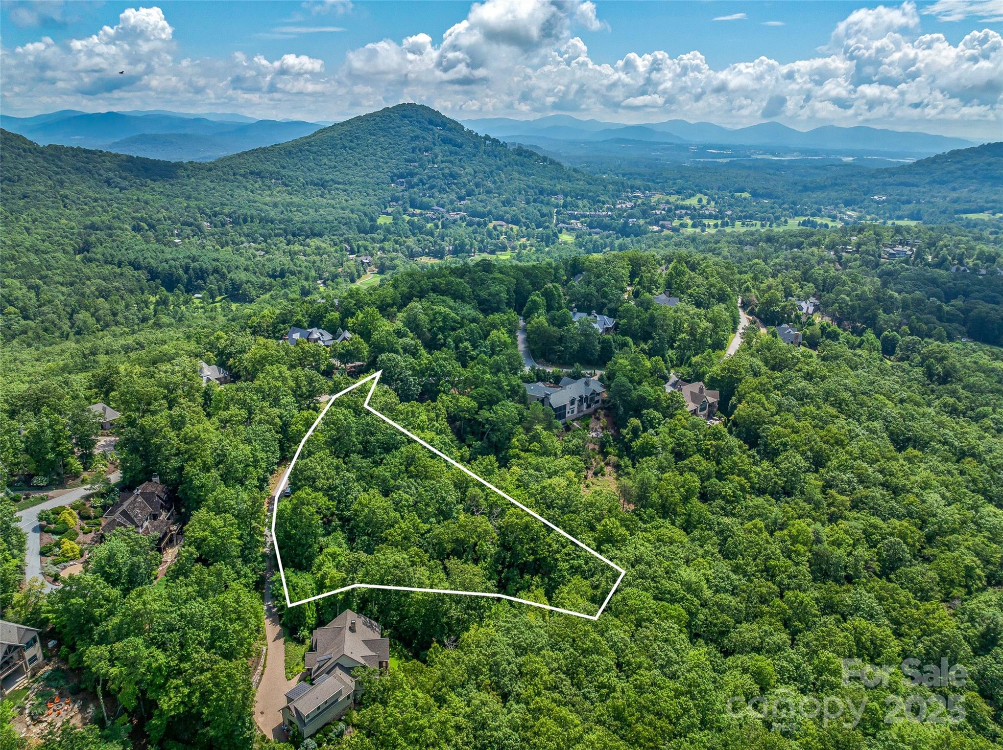 72 Smokey Ridge Trail, Unit 196 Arden, NC 28704 - Photo 7 of 34 a view of a lush green forest with lots of trees