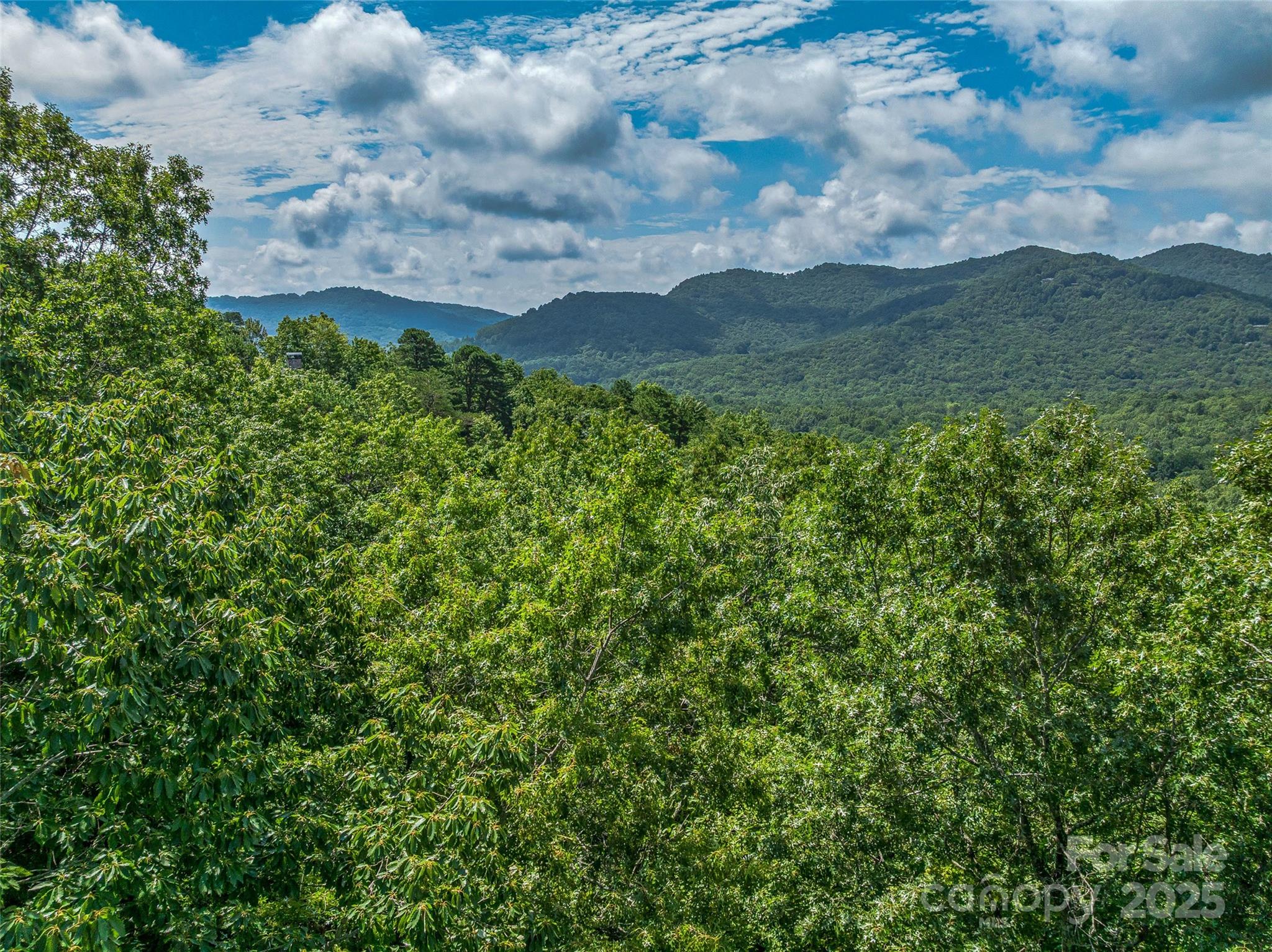 72 Smokey Ridge Trail, Unit 196 Arden, NC 28704 - Photo 8 of 34 a view of a lush green forest with lots of trees