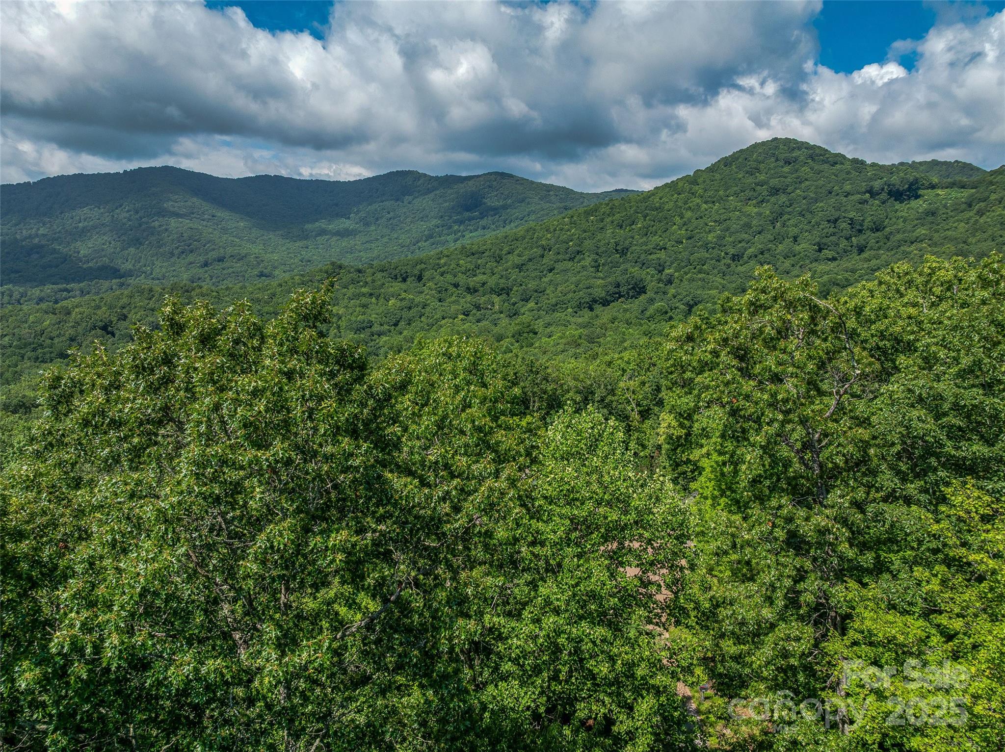 72 Smokey Ridge Trail, Unit 196 Arden, NC 28704 - Photo 9 of 34 a view of a city with lush green forest