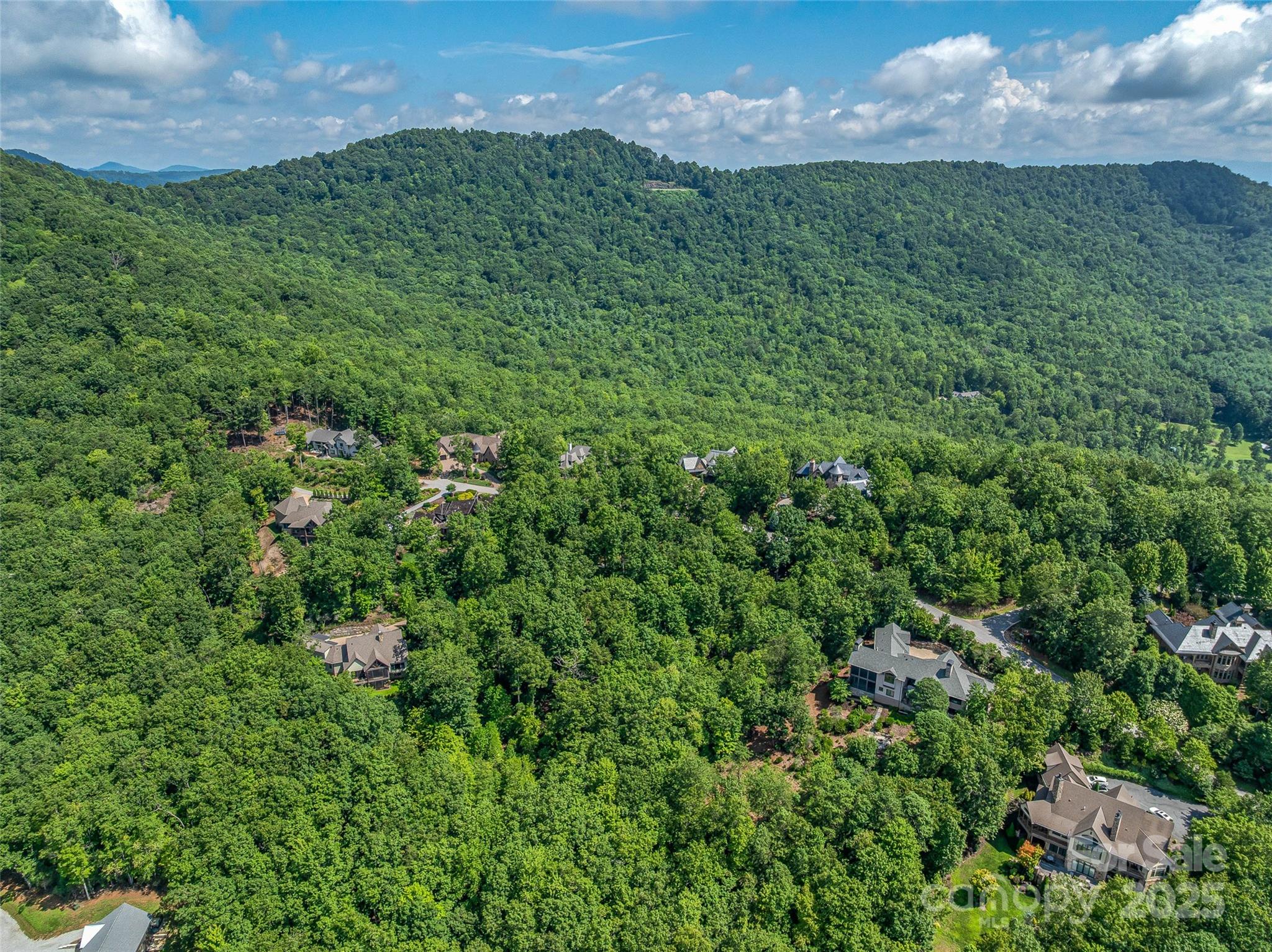 72 Smokey Ridge Trail, Unit 196 Arden, NC 28704 - Photo 10 of 34 a view of a big yard with lots of green space and mountain view