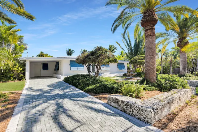 a view of a yard with plants and trees