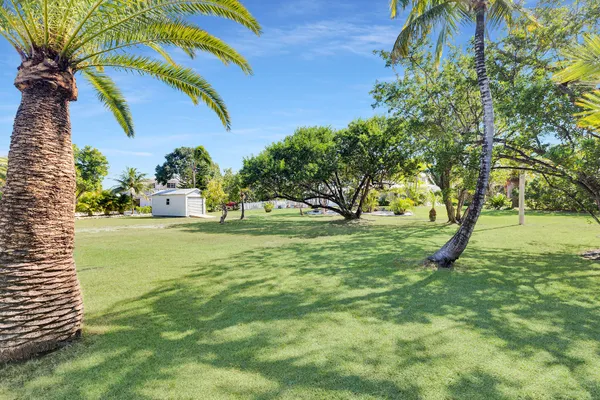 a view of backyard with green space