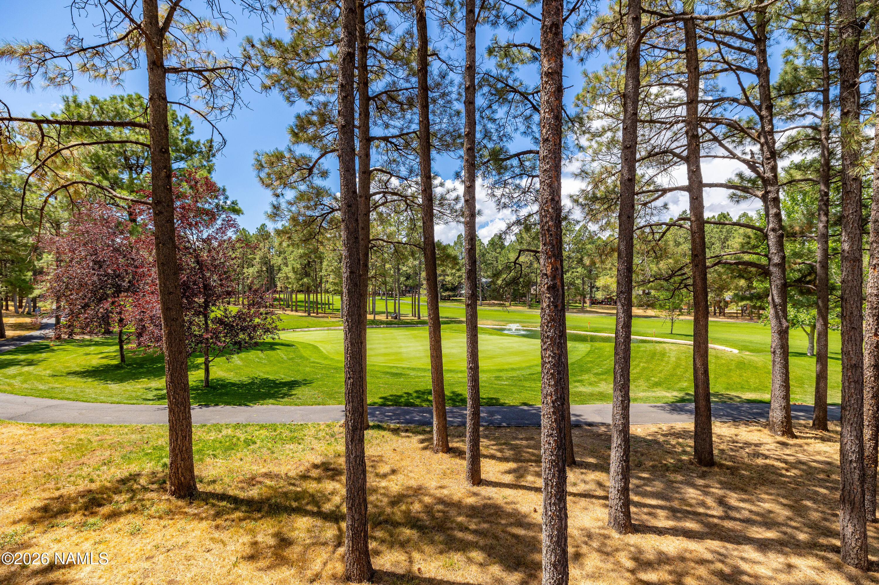 1407 North Mariposa Road Flagstaff, AZ 86004 - Photo 82 of 85 84 CP-16