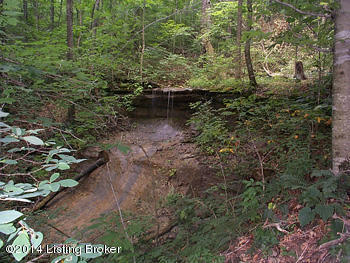 3250 Powder Mills Road Summersville, KY 42782 - Photo 7 of 17 117