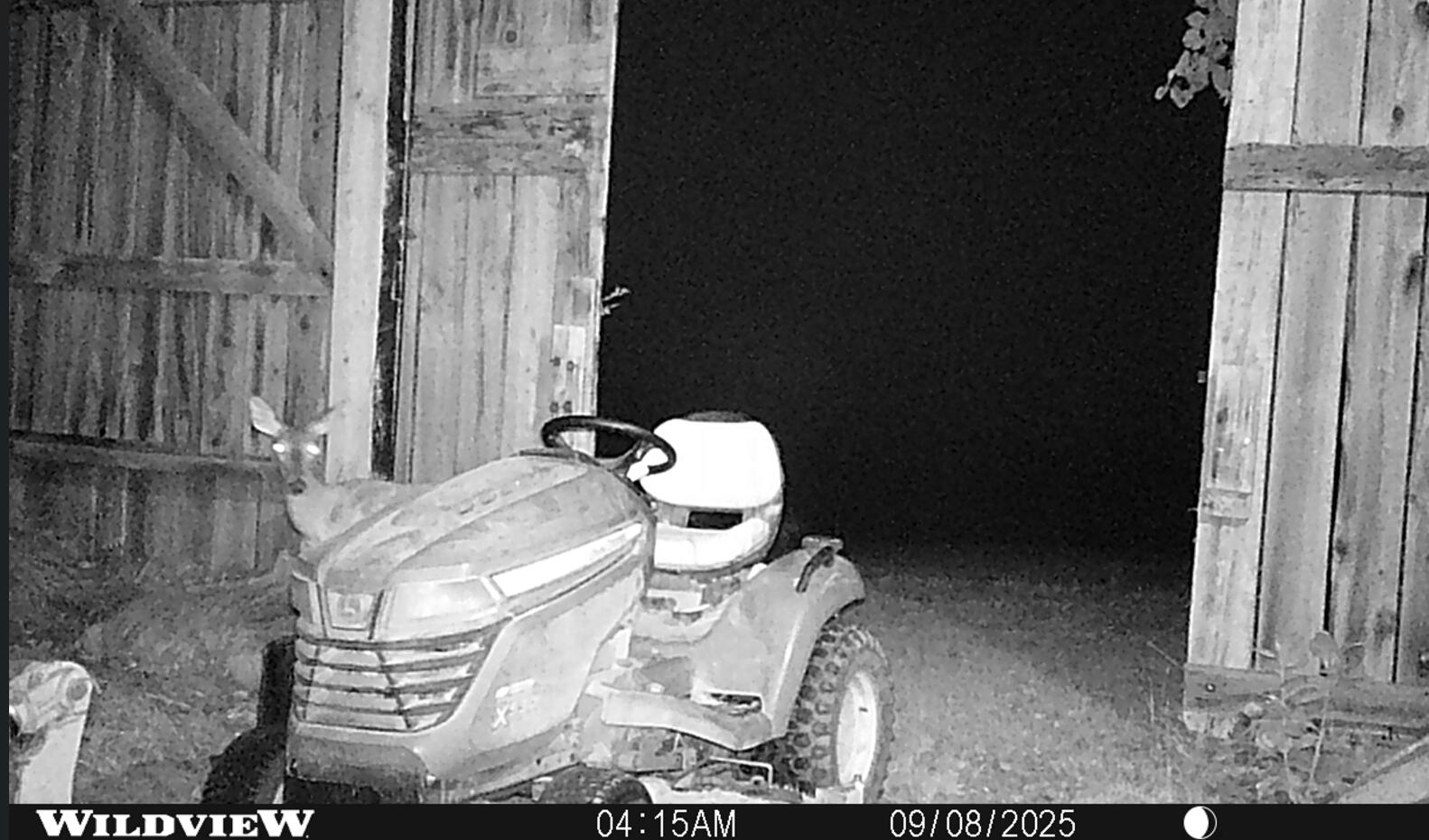 3890 Oregon Road Versailles, KY 40383 - Photo 22 of 36 2025-09-8 Barn Beddown Doe