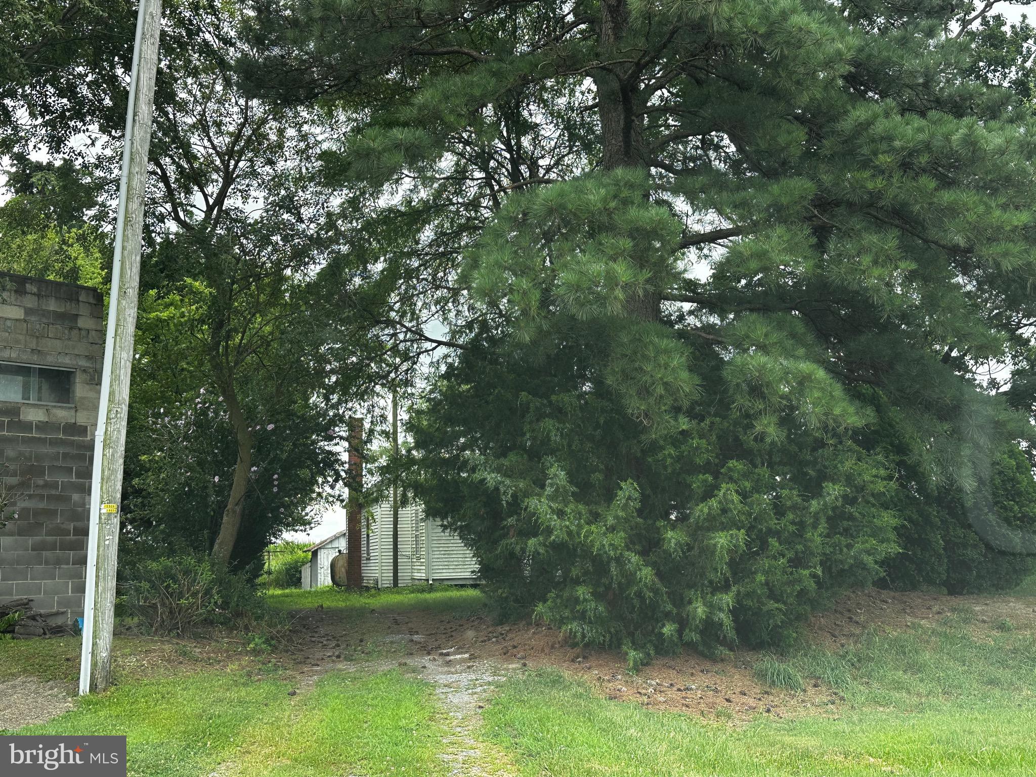 1500 Roe Ingleside Road Church Hill, MD 21623 - Photo 2 of 11 Driveway
