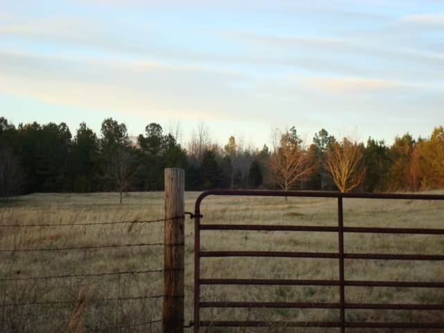 210 Harpers Ridge Seneca, SC 29672 - Photo 2 of 7 Gallery Image 2