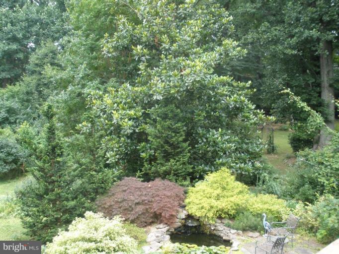 913 Shore Acres Road Arnold, MD 21012 - Photo 4 of 21 Rare and beautiful gardens