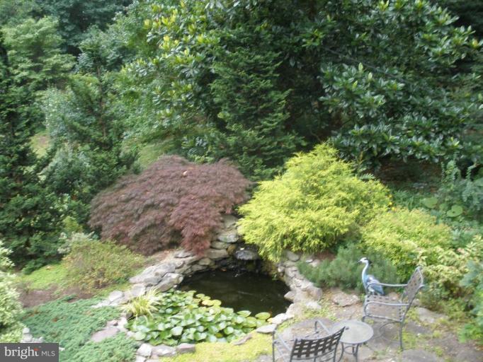 913 Shore Acres Road Arnold, MD 21012 - Photo 7 of 21 Enjoy your coffee watching fish in your pond