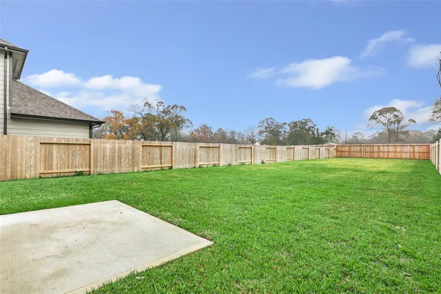 $1,995 | 18749 Lucas Michael Way, New Caney, TX 77357