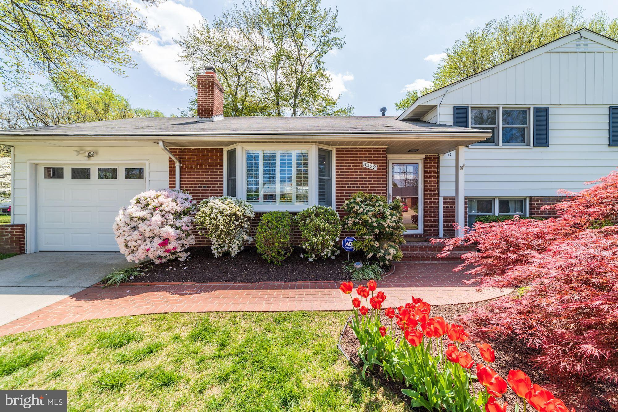 5359 Ravensworth Road Springfield, VA 22151 - Photo 4 of 31