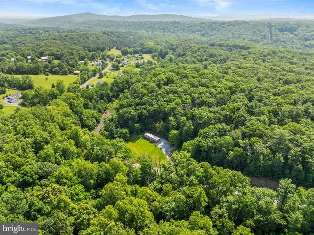 a view of a lush green forest with trees in the background