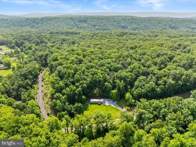 a view of a field with a tree