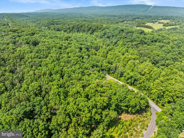 a view of a lush green field