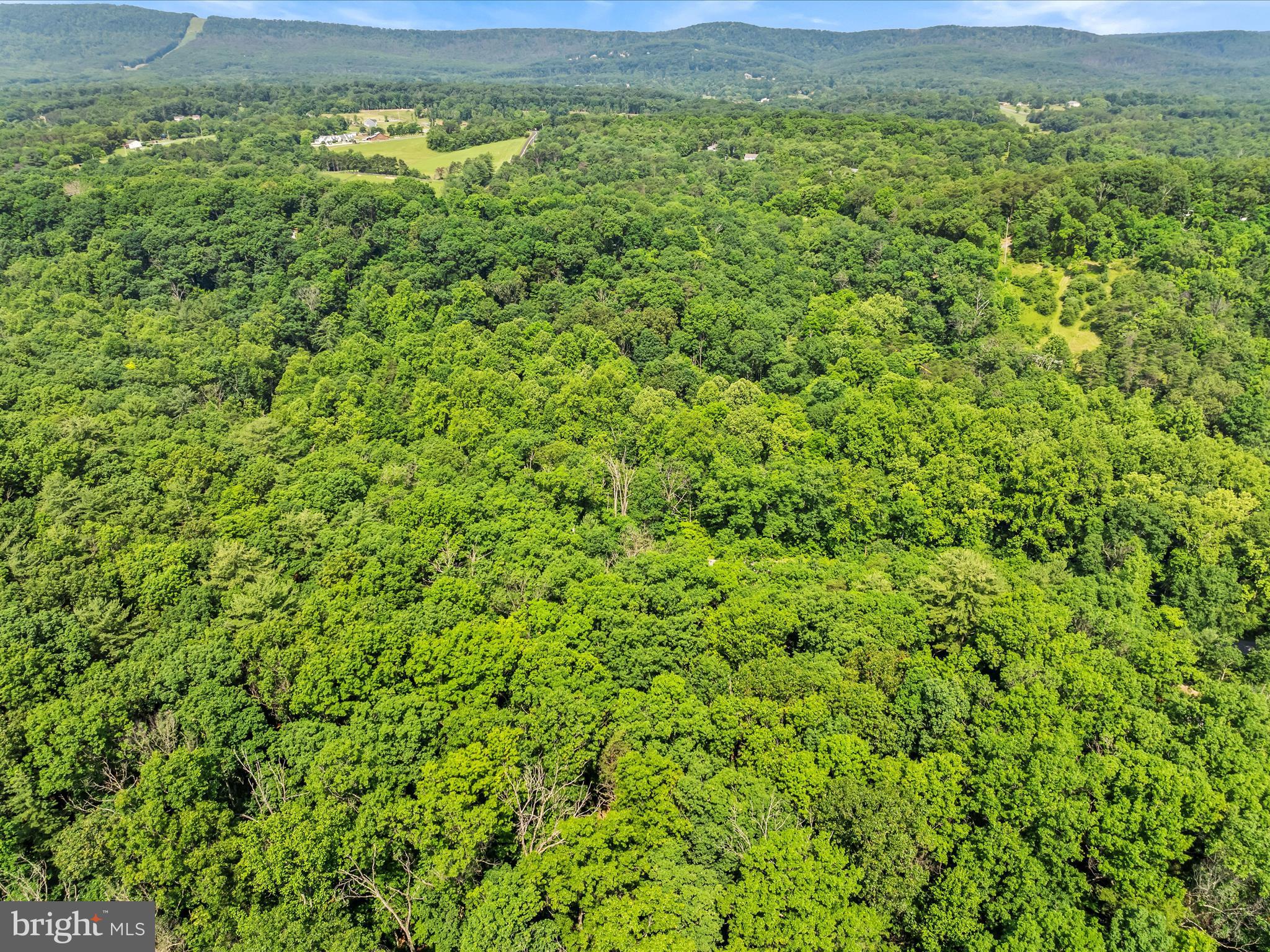2732 Crossroad School Road Hedgesville, WV 25427 - Photo 19 of 41 a view of a lush green forest with a lake