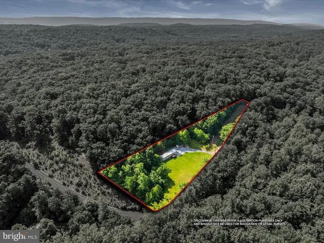 a view of a yard with a swimming pool