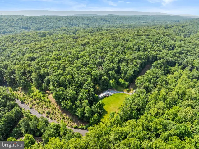 a view of a lush green forest with trees and some houses