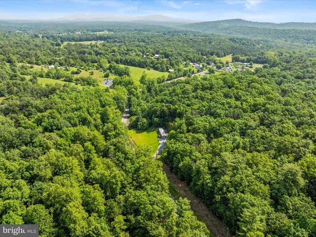 a view of a city with lush green forest