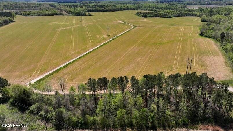 0 Captains Road Scotland Neck, NC 27874 - Photo 5 of 6 20240416135558200186000000-o