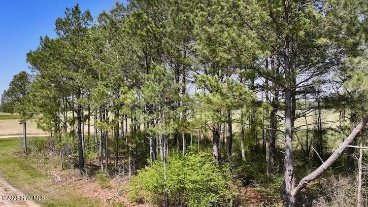 0 Captains Road Scotland Neck, NC 27874 - Photo 6 of 6 20240416135628932503000000-o