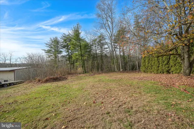 a view of a backyard with large trees