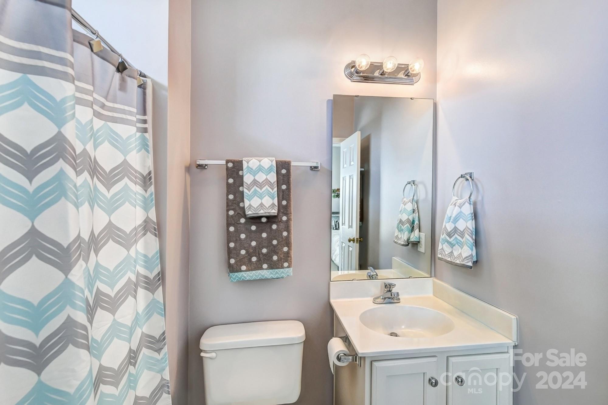 182 Harris Farm Road Mooresville, NC 28115 - Photo 34 of 46 a bathroom with a sink toilet and mirror