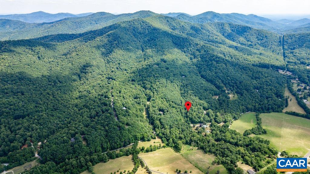 a view of a forest with a mountain