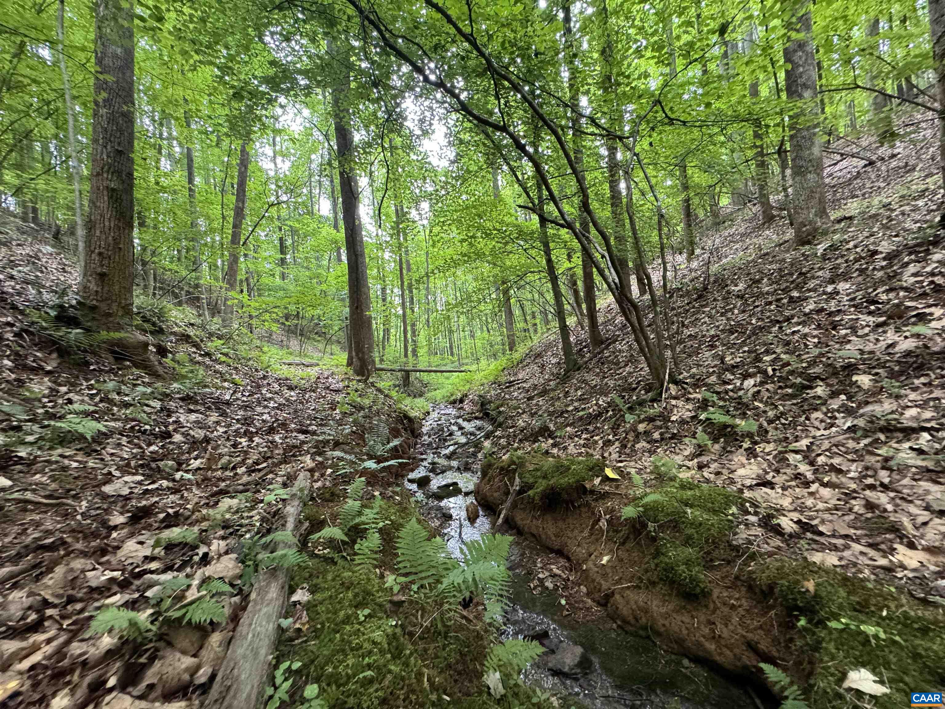 Tba Glenthorne Loop Nellysford, VA 22958 - Photo 14 of 26 a view of outdoor space and green space