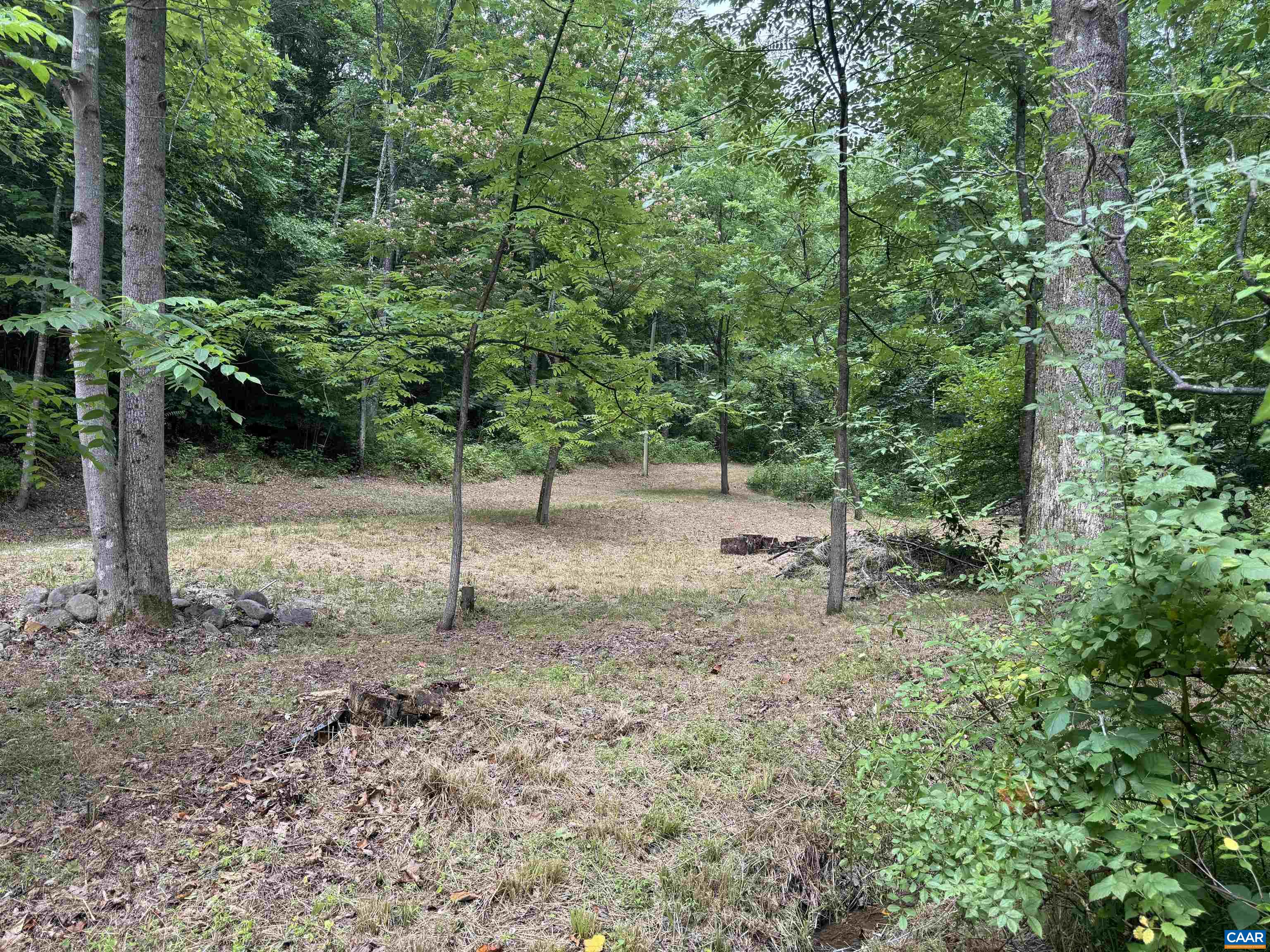 Tba Glenthorne Loop Nellysford, VA 22958 - Photo 15 of 26 a backyard of a house with lots of green space