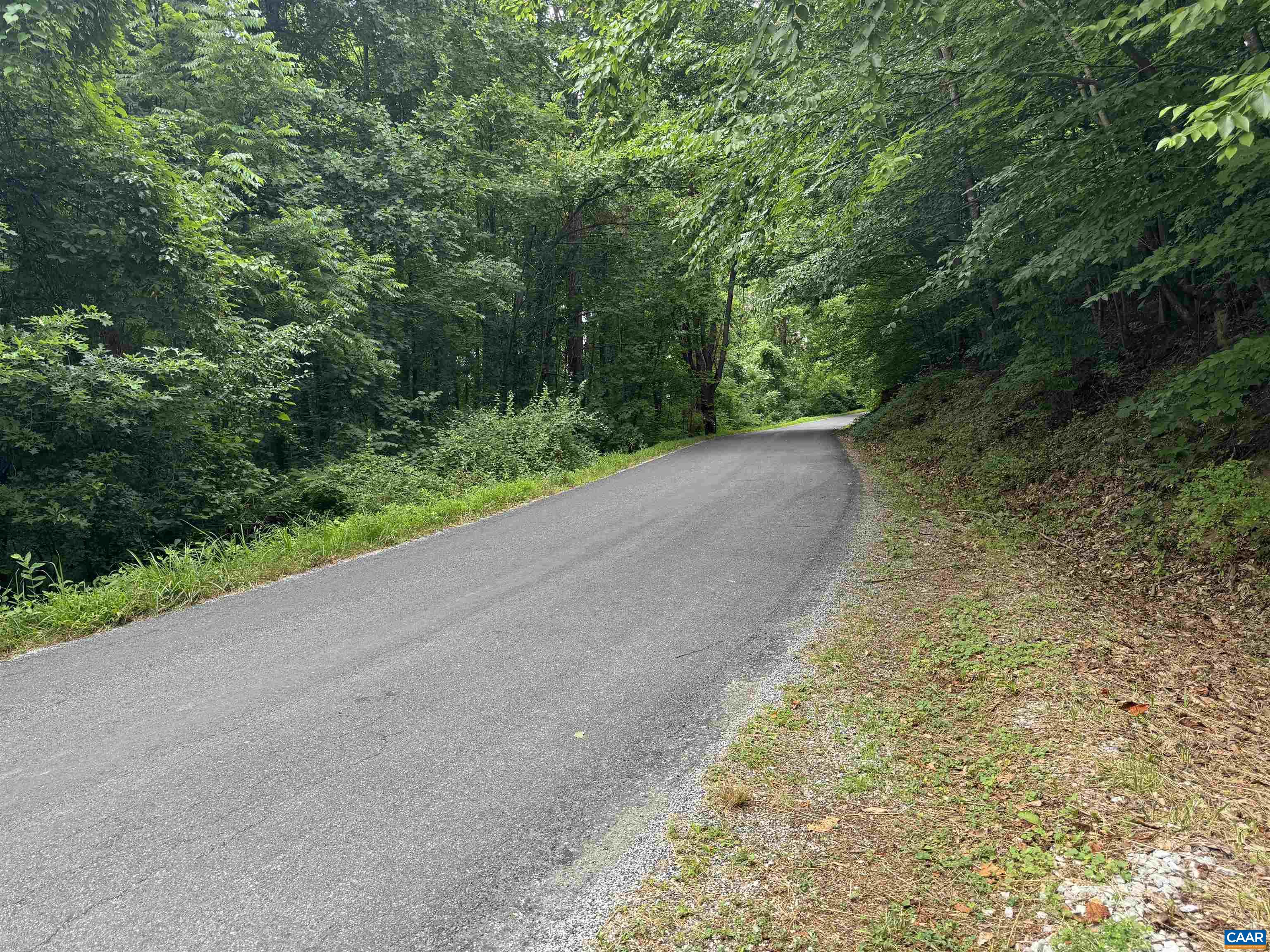 Tba Glenthorne Loop Nellysford, VA 22958 - Photo 17 of 26 a view of a yard with plants