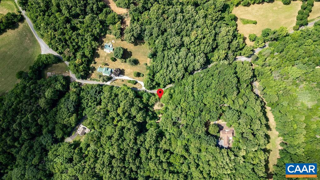 Tba Glenthorne Loop Nellysford, VA 22958 - Photo 23 of 26 a plant that is in a field