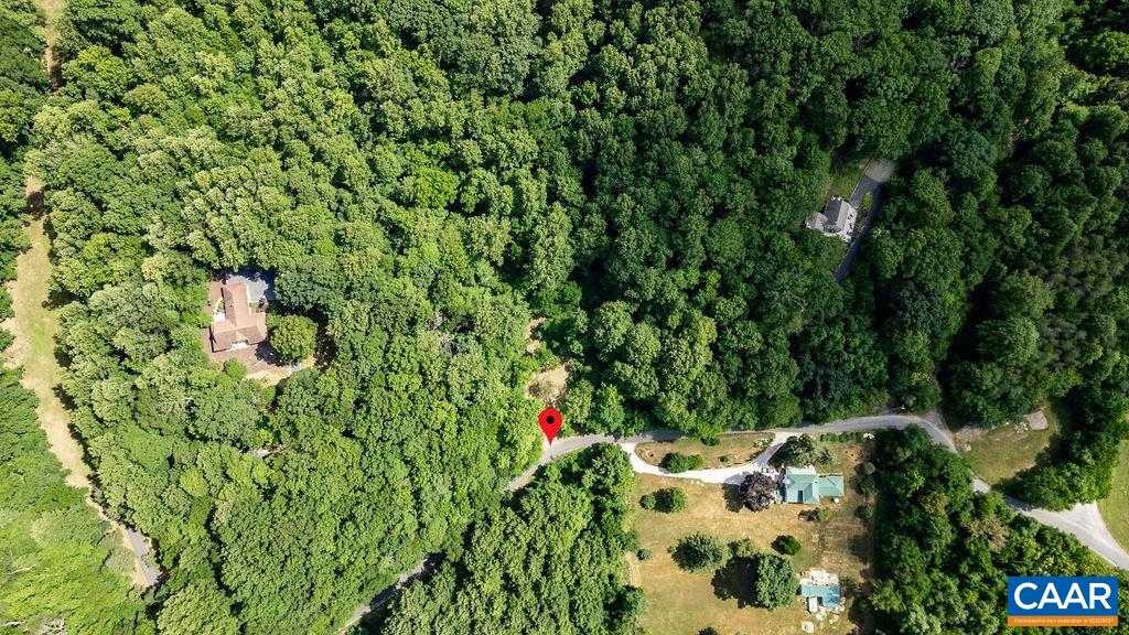 Tba Glenthorne Loop Nellysford, VA 22958 - Photo 24 of 26 a view of a lush green forest with lots of trees