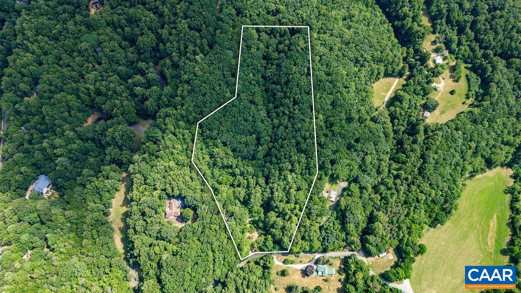 Tba Glenthorne Loop Nellysford, VA 22958 - Photo 25 of 26 a view of a lush green forest with lots of trees