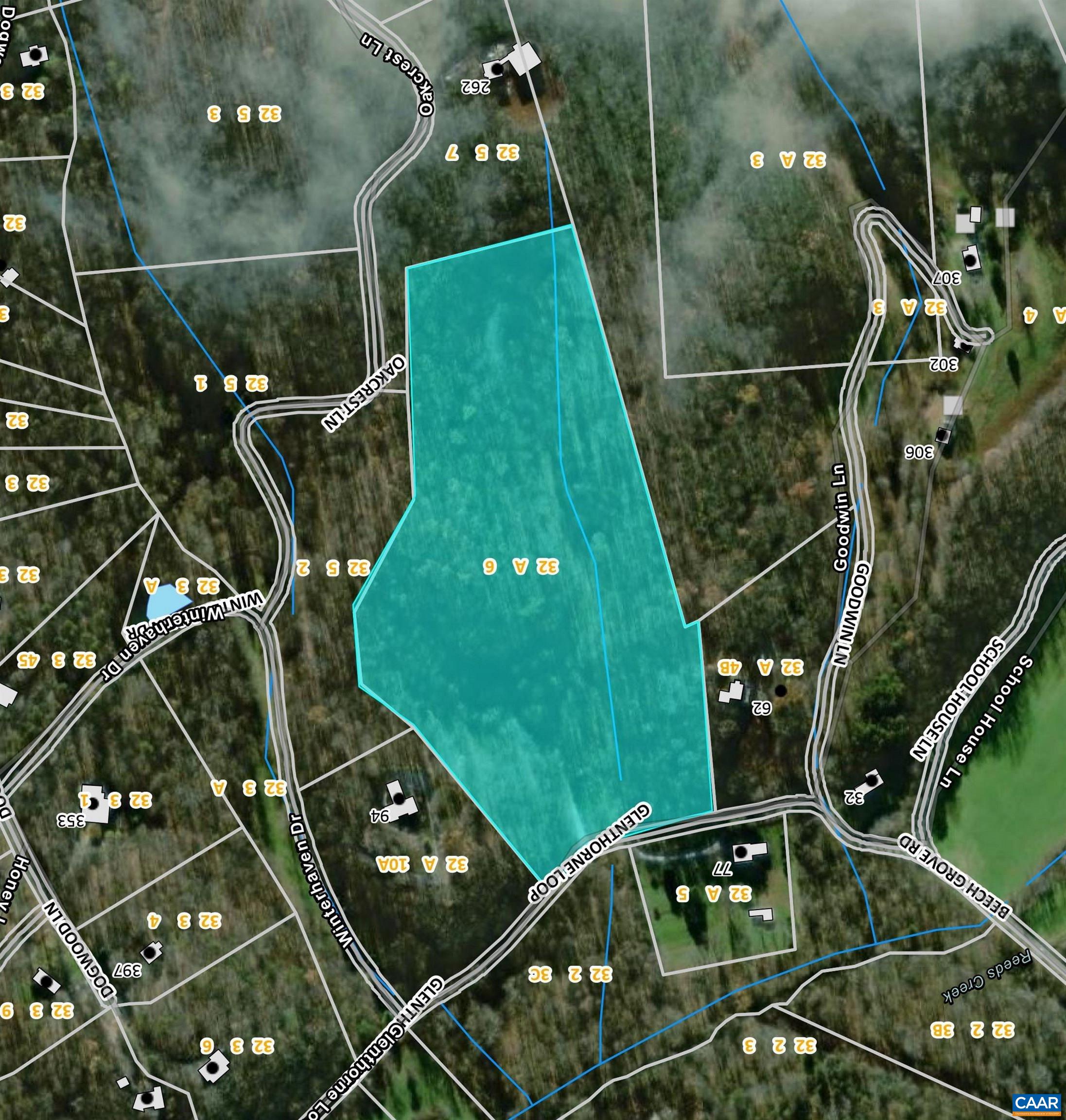 Tba Glenthorne Loop Nellysford, VA 22958 - Photo 26 of 26 a picture of a plant