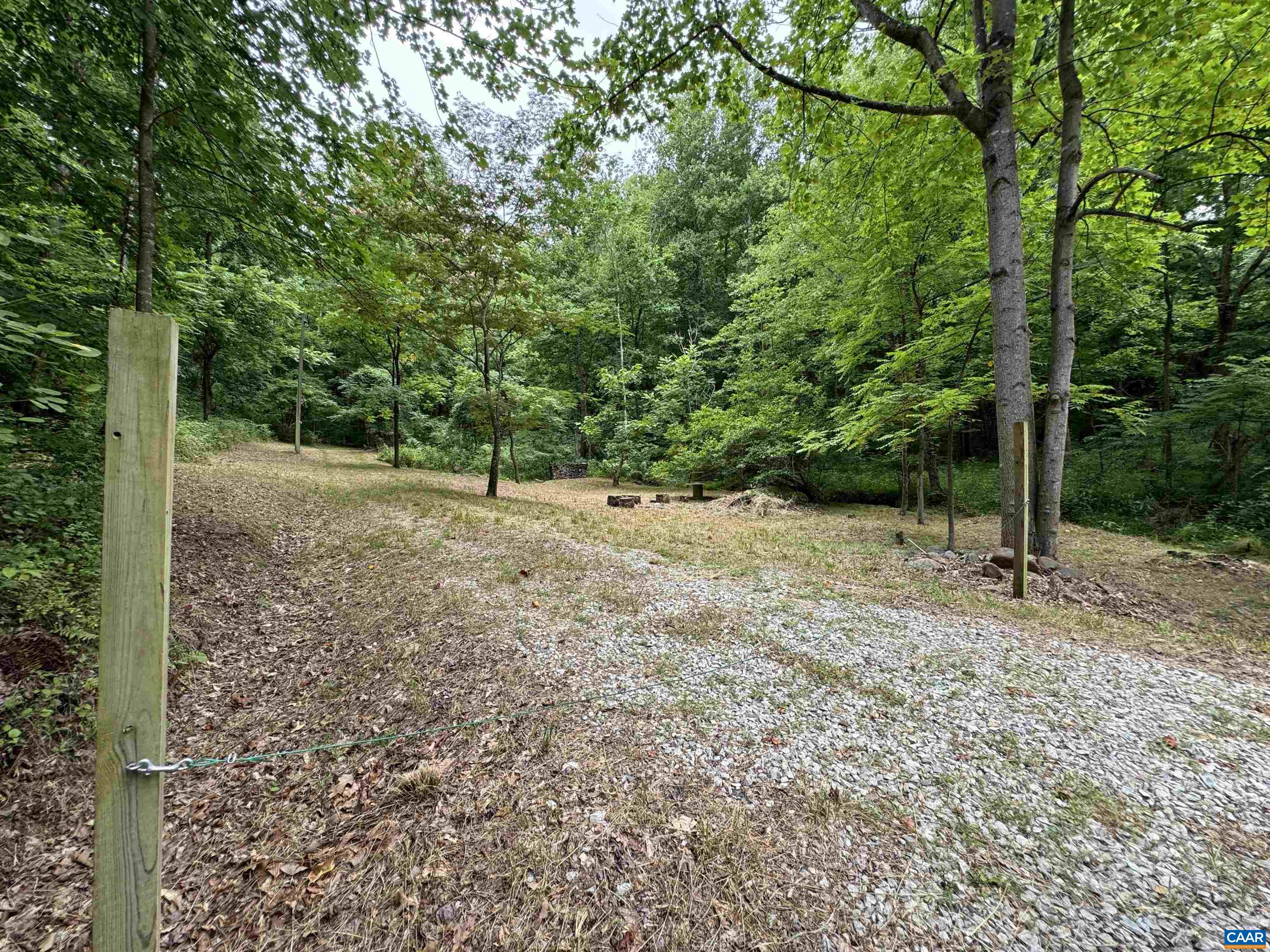 Tba Glenthorne Loop Nellysford, VA 22958 - Photo 5 of 26 a view of a forest with trees in the background