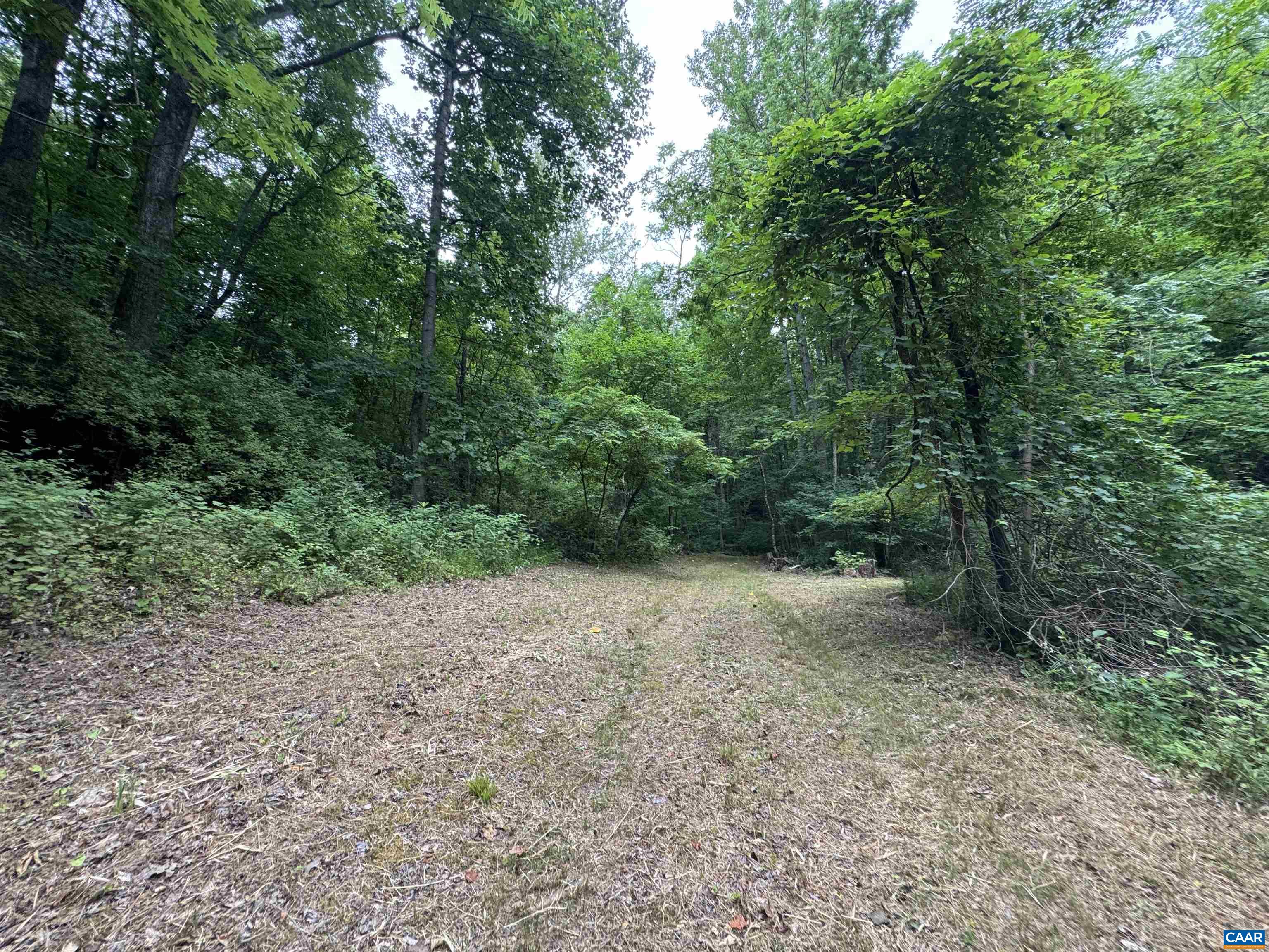 Tba Glenthorne Loop Nellysford, VA 22958 - Photo 8 of 26 a view of a yard with a tree