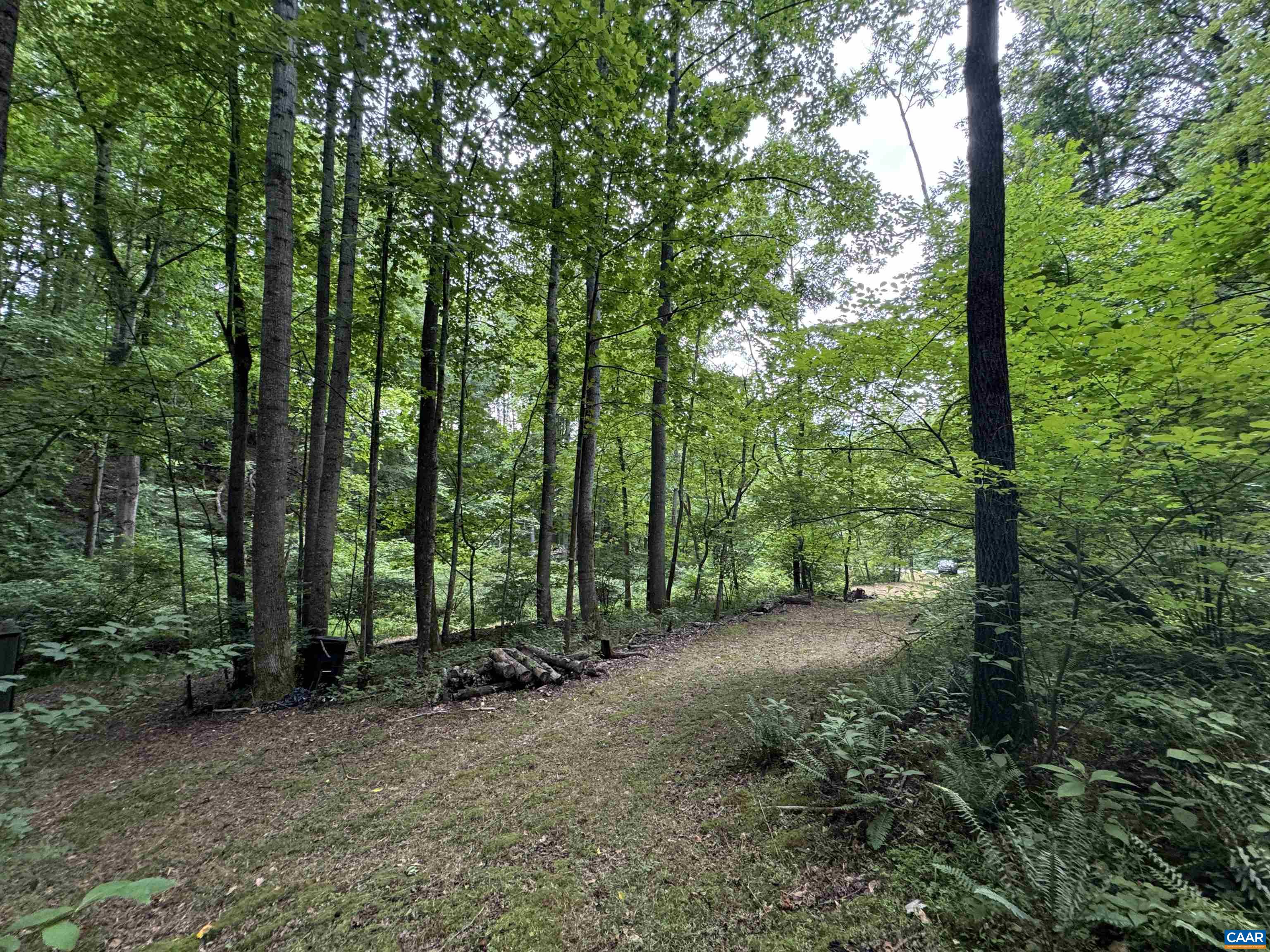 Tba Glenthorne Loop Nellysford, VA 22958 - Photo 10 of 26 a view of outdoor space and trees