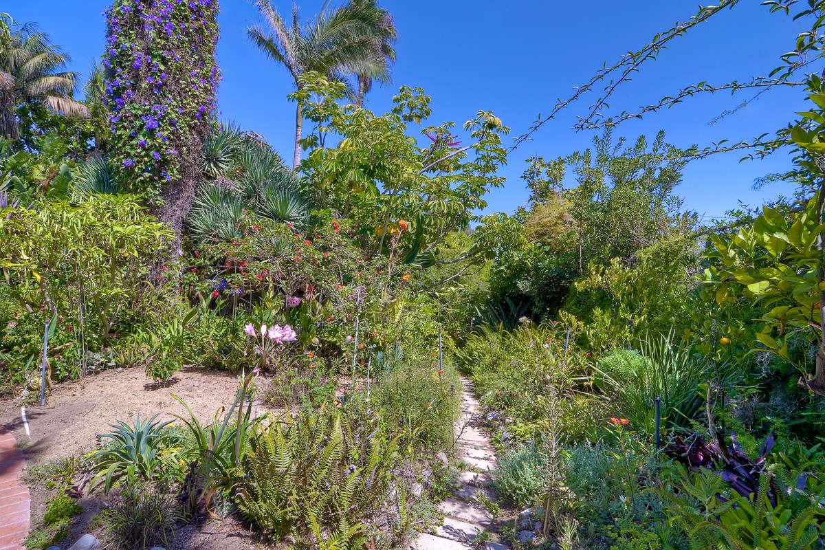 Passiflora Place Encinitas, CA 92024 - Photo 12 of 13 Gallery Image 12