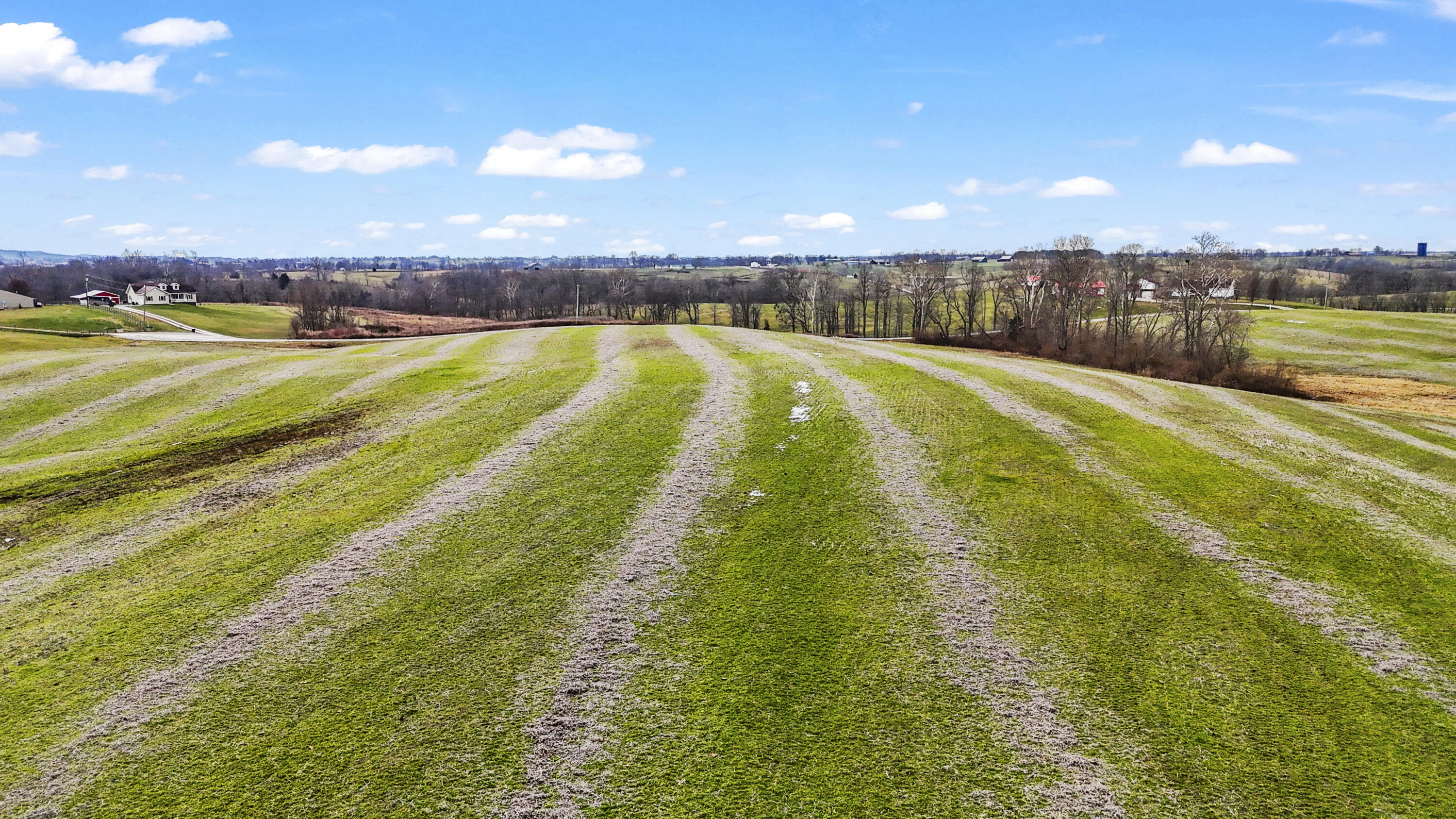 0 Wallingford Road Flemingsburg, KY 41041 - Photo 4 of 18 DJI_20251217111800_0006_D