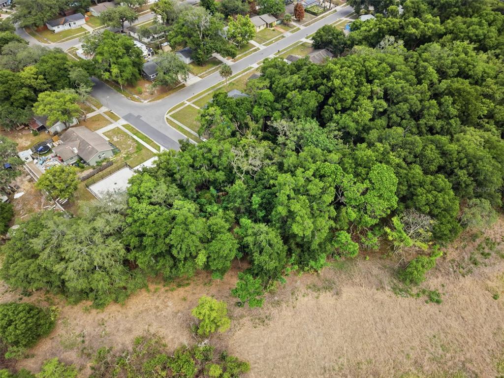 Sardina Boulevard Orlando, FL 32818 - Photo 9 of 17
