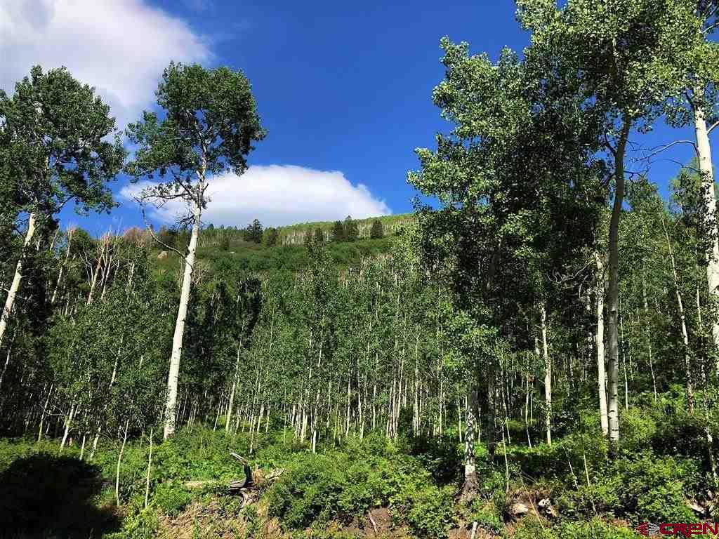 Tbd Highway 92 Crawford, CO 81415 - Photo 14 of 17 a view of a garden