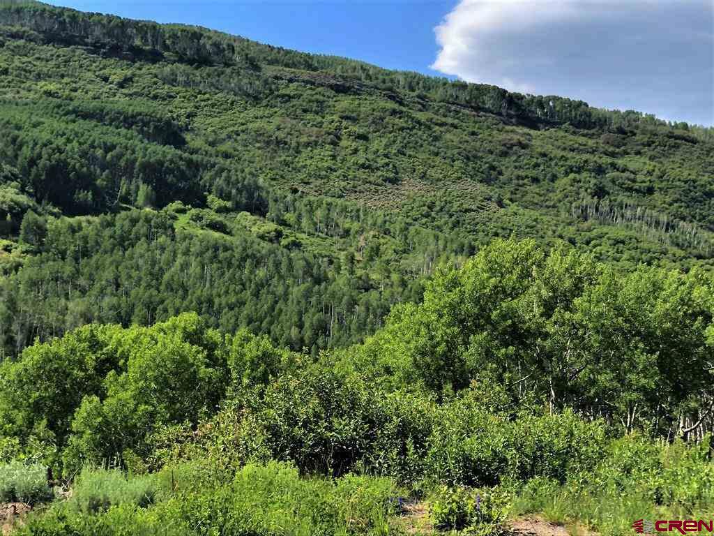 Tbd Highway 92 Crawford, CO 81415 - Photo 16 of 17 an aerial view of a houses with a yard