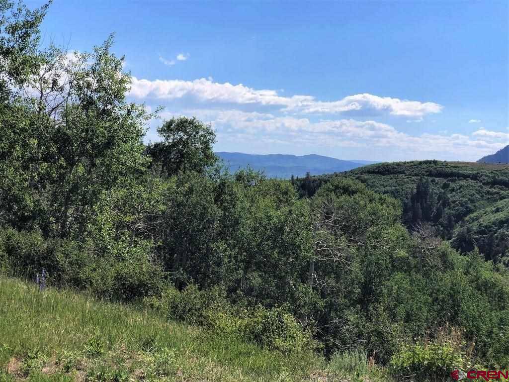 Tbd Highway 92 Crawford, CO 81415 - Photo 17 of 17 a view of a city with lush green forest
