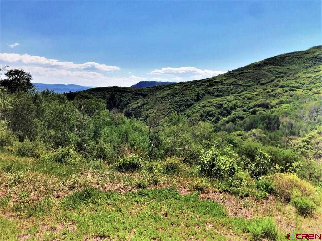 Tbd Highway 92 Crawford, CO 81415 - Photo 4 of 17 a view of a mountain