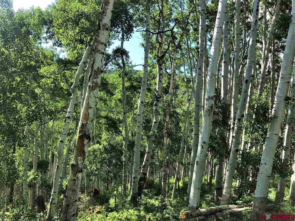 Tbd Highway 92 Crawford, CO 81415 - Photo 7 of 17 a view of a city with lush green forest