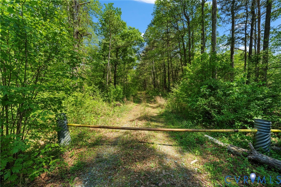 0 Haden Martin Road Palmyra, VA 22963 - Photo 15 of 17